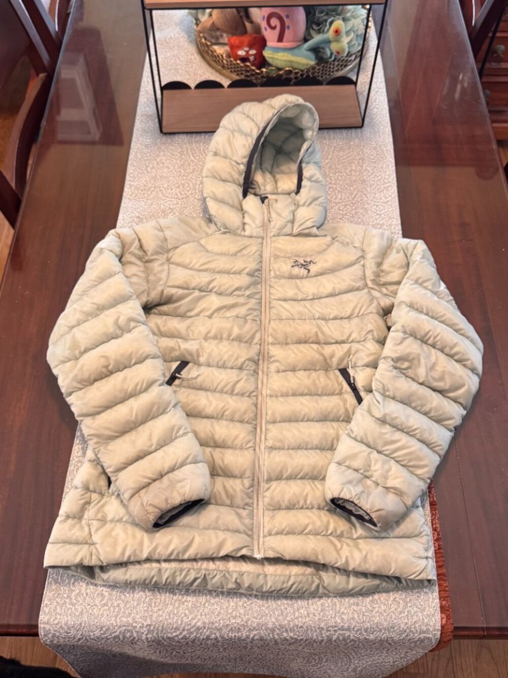 Arc'teryx Cerium LT Hoody Women’s M Pale Mint Ice Blue Jacket "Illusion"